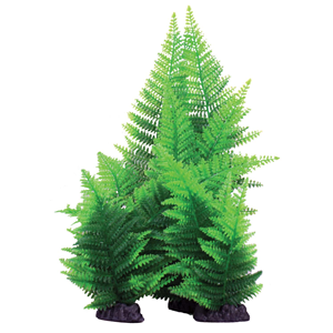 Hugo Broad Leaf Fern Green 13Cm - Tropical Supplies North East