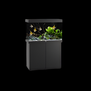 Juwel Rio 290 Aquarium Set Black