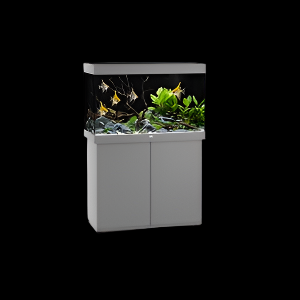 Juwel Rio 290 Aquarium Set Grey