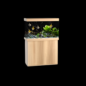 Juwel Rio 290 Aquarium Set Light Wood