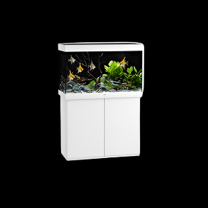 Juwel Rio 290 Aquarium Set White