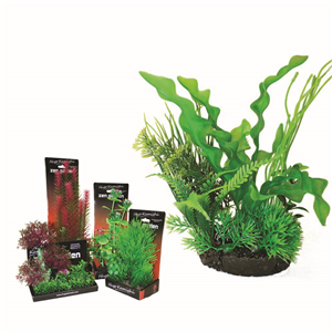 Hugo Boxed Plant Mix 4 22Cm - Tropical Supplies North East