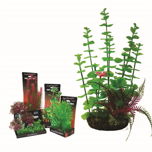 Hugo Boxed Plant Mix 5 28Cm - Tropical Supplies North East