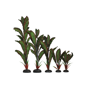 Hugo Green Red Silk 13Cm - Tropical Supplies North East