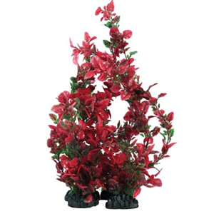 Hugo Rose Leaf Red Green 20Cm - Tropical Supplies North East