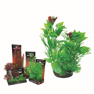 Hugo Boxed Plant Mix 3 22Cm - Tropical Supplies North East