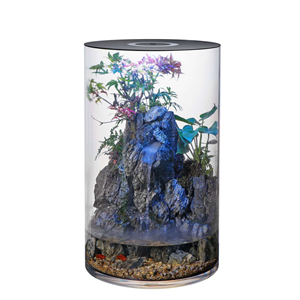 TAKAI Acrylic Fish Home H60xD30cm - Tropical Supplies North East