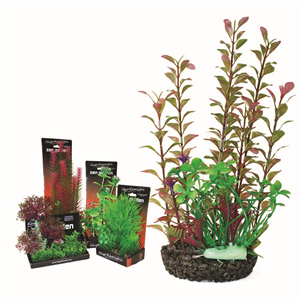 Hugo Boxed Plant Mix 3 28Cm - Tropical Supplies North East