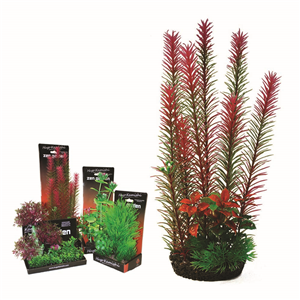 Hugo Boxed Plant Mix 3 35Cm - Tropical Supplies North East