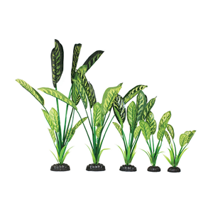 Hugo Saggitaria Green Yellow Silk 13Cm - Tropical Supplies North East