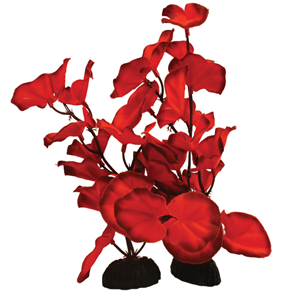 Hugo Lily Red Silk 13Cm - Tropical Supplies North East