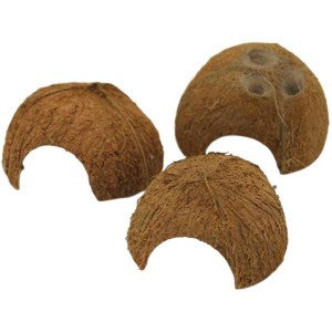 Half Coconut Shelter Cave - Tropical Supplies North East