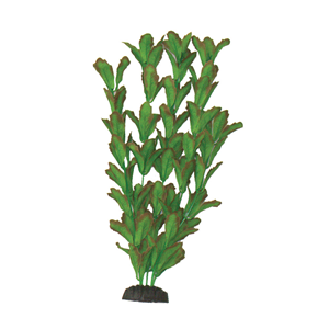 Hugo Rotundifolia Silk 50Cm - Tropical Supplies North East