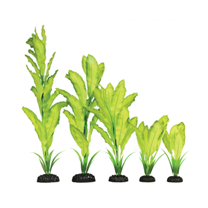 Hugo Yellow Green Silk 13Cm - Tropical Supplies North East