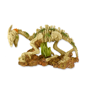 Hugo Crouching 29x12x16cm - Tropical Supplies North East