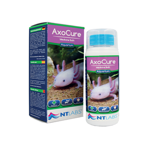NTlabs Axocure 100ml - Tropical Supplies North East