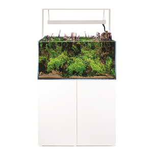 Aquael Ultrascape 90 Aquarium Set White - Tropical Supplies North East