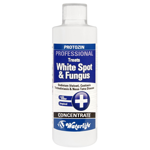 Waterlife Protozin 500ml White Spot & Fungus Treatment - Tropical Supplies North East