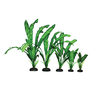 Hugo Echinodorus Green Silk 13Cm - Tropical Supplies North East