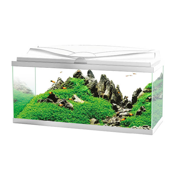 Ciano Aqua 85 LED White