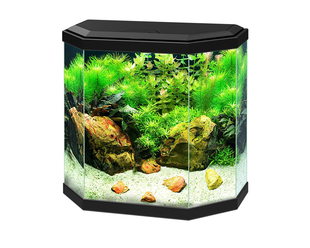 Ciano Aqua 30 LED Black - Tropical Supplies North East