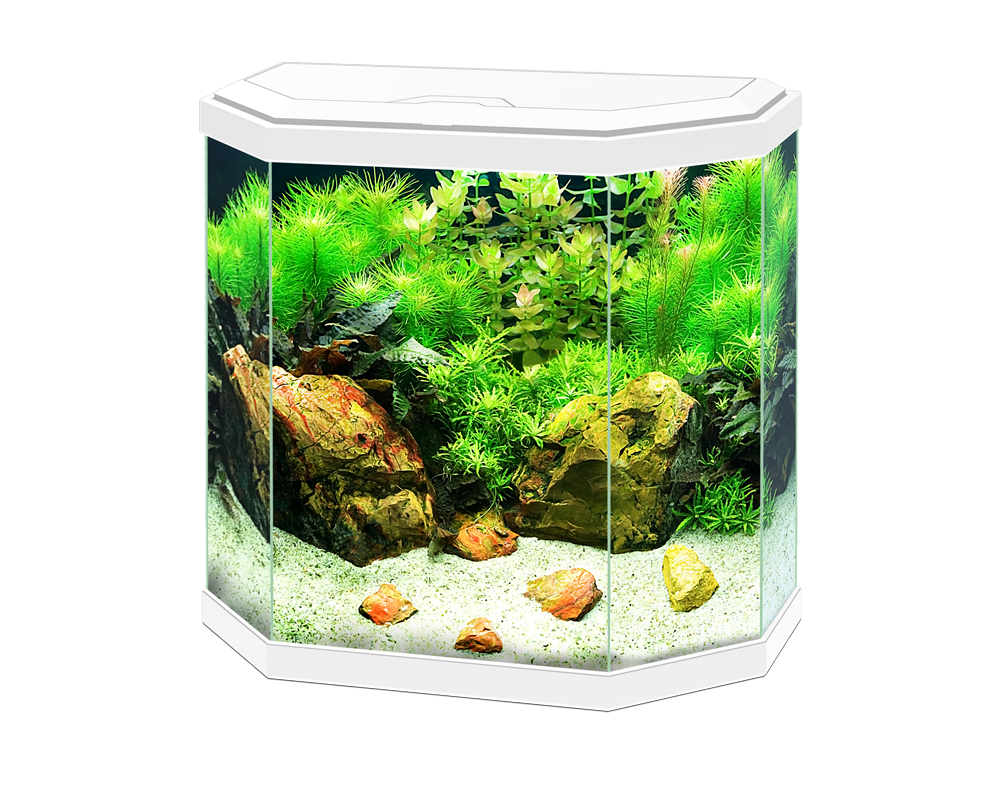 Ciano Aqua 30 LED White - Tropical Supplies North East