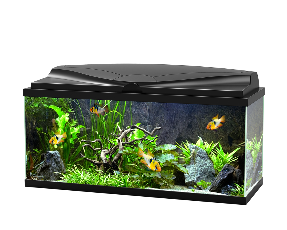 Ciano Aqua 80 LED Black - Tropical Supplies North East