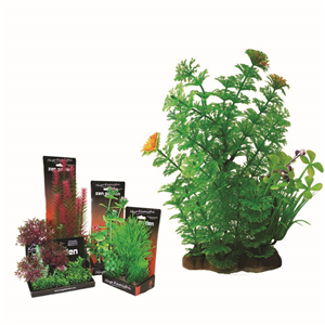 Hugo Boxed Plant Mix 5 22Cm - Tropical Supplies North East