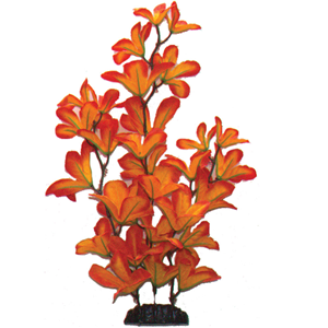 Hugo Sunset Macrandra Silk 13Cm - Tropical Supplies North East