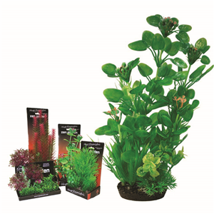 Hugo Boxed Plant Mix 7 35Cm - Tropical Supplies North East