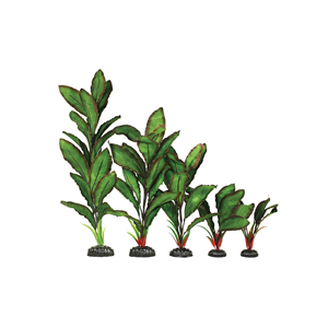 Hugo Leafy Green Red Silk 20Cm - Tropical Supplies North East