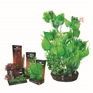 Hugo Boxed Plant Mix 6 28Cm - Tropical Supplies North East