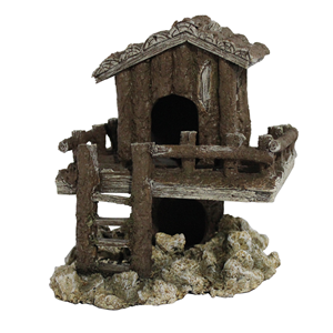 Hugo House With Ladder 15X15x16 - Tropical Supplies North East