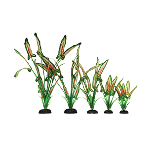 Hugo Saggitaria Green Red Silk 30Cm - Tropical Supplies North East