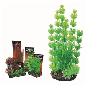 Hugo Boxed Plant Mix 9 28Cm - Tropical Supplies North East