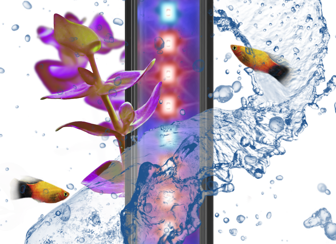 Ciano CLA60 PLANTS - Tropical Supplies North East