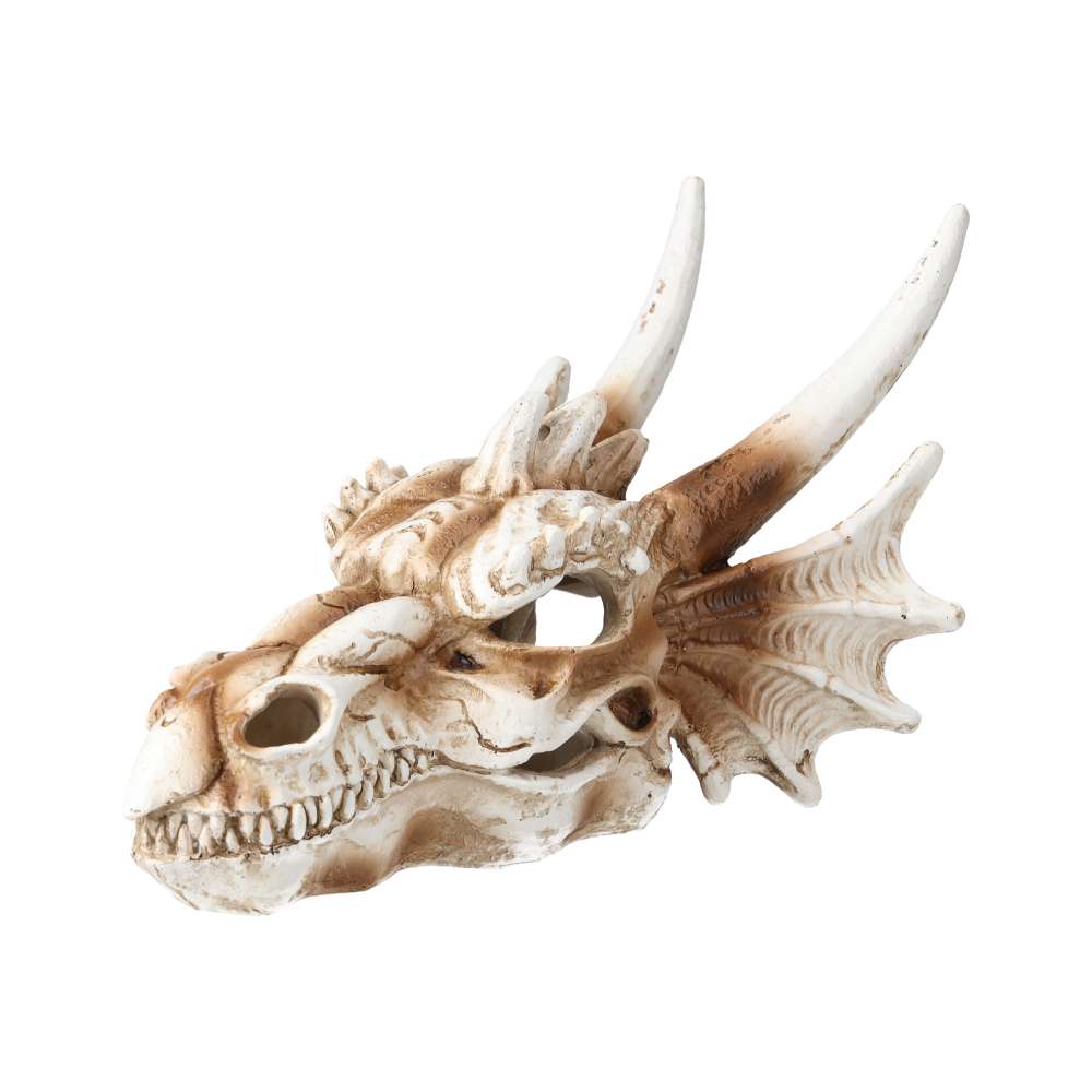 ProRep Dragon Skull 19.5x14.8x13.5cm