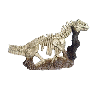 Hugo Dino Skull Half 28x6x16cm - Tropical Supplies North East