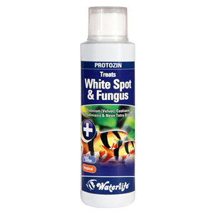 Waterlife Protozin 250ml White Spot & Fungus Treatment - Tropical Supplies North East