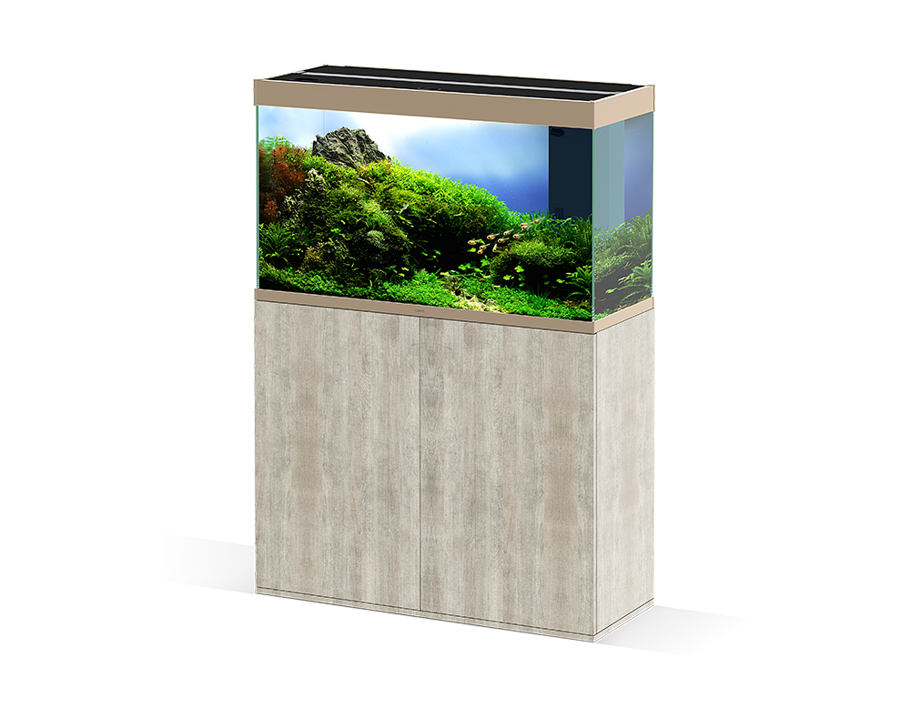 Ciano Emotions PRO 100 Mystic - Tropical Supplies North East