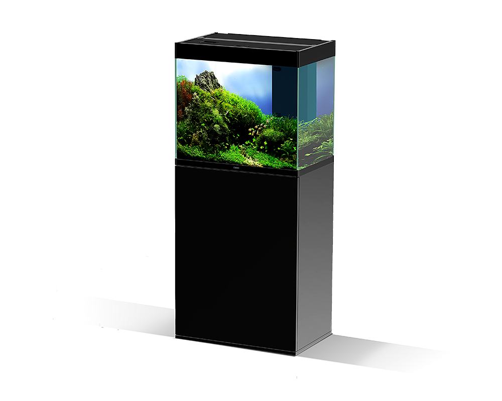 Ciano Emotions PRO 60 Black - Tropical Supplies North East