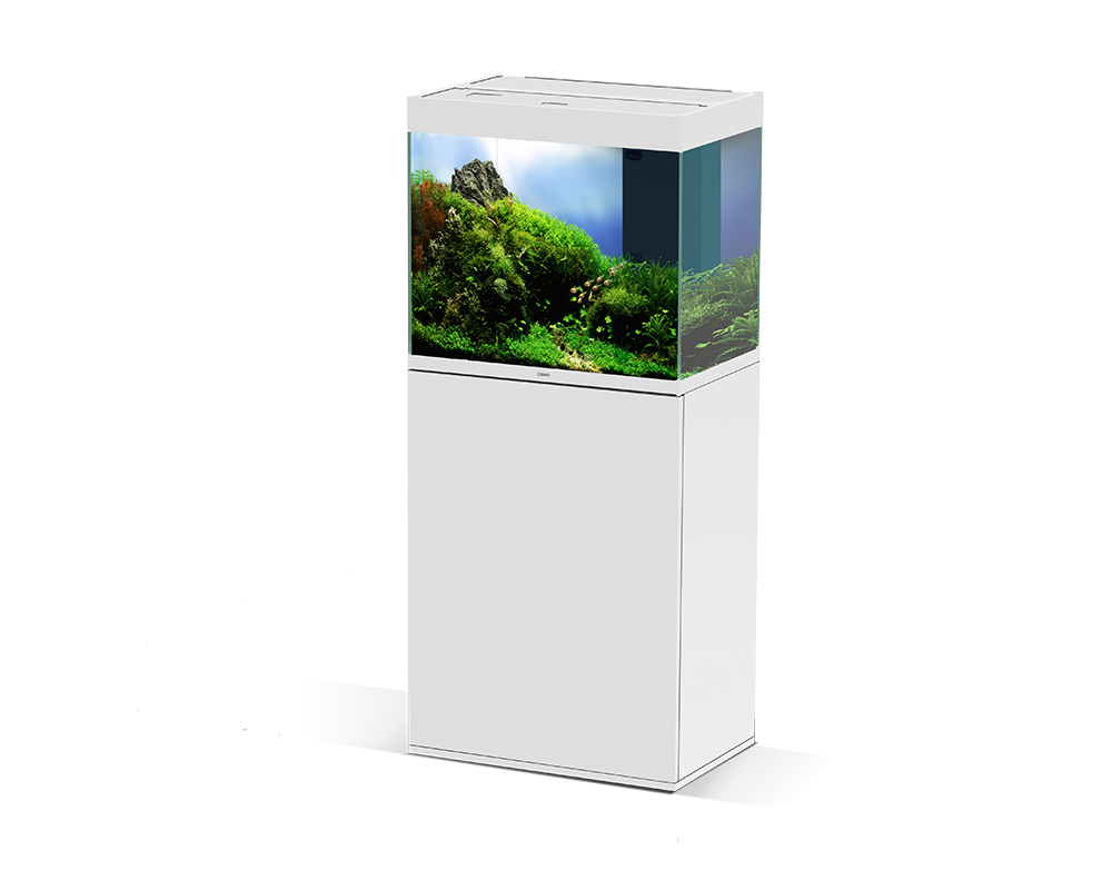 Ciano Emotions PRO 60 White - Tropical Supplies North East