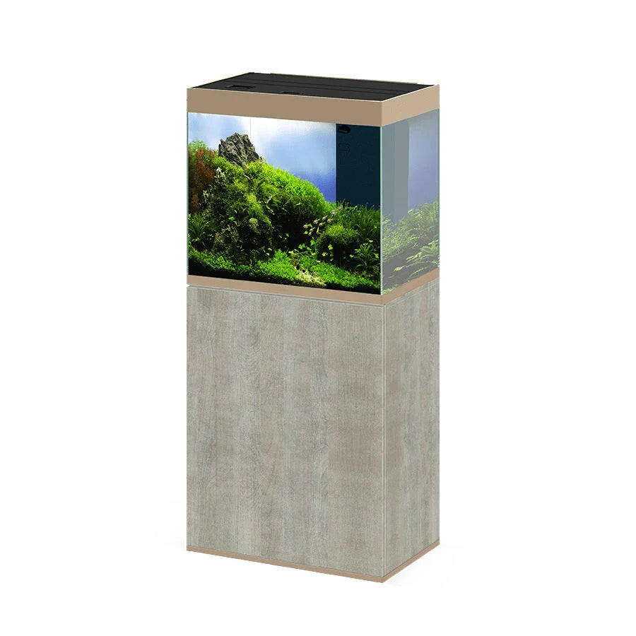 Ciano Emotions PRO 60 Mystic - Tropical Supplies