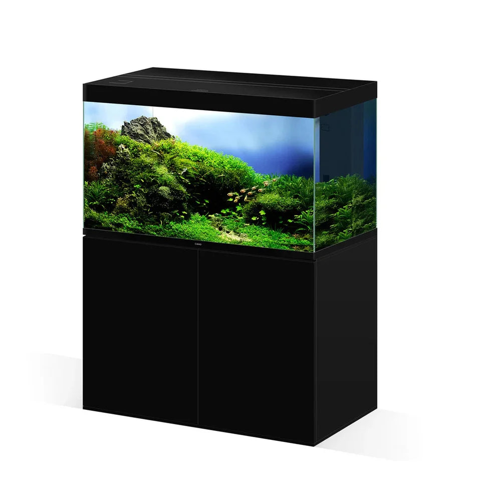 Ciano Emotions PRO 100 Deep Black - Tropical Supplies