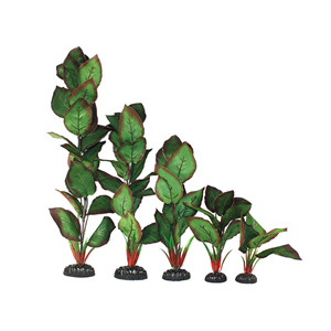 Hugo Cryptocorne Green Red Silk 40Cm - Tropical Supplies North East