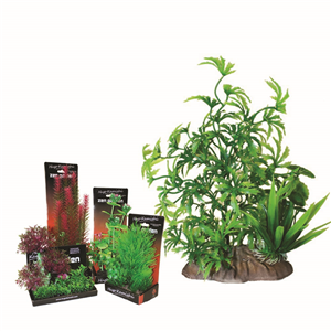 Hugo Boxed Plant Mix 7 22Cm - Tropical Supplies North East