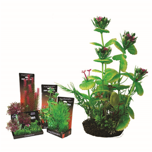 Hugo Boxed Plant Mix 1 28Cm - Tropical Supplies North East
