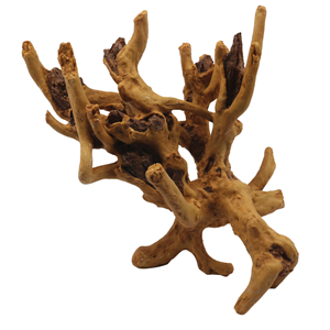 Hugo Woodscape 26.5x19x26.5Cm - Tropical Supplies North East