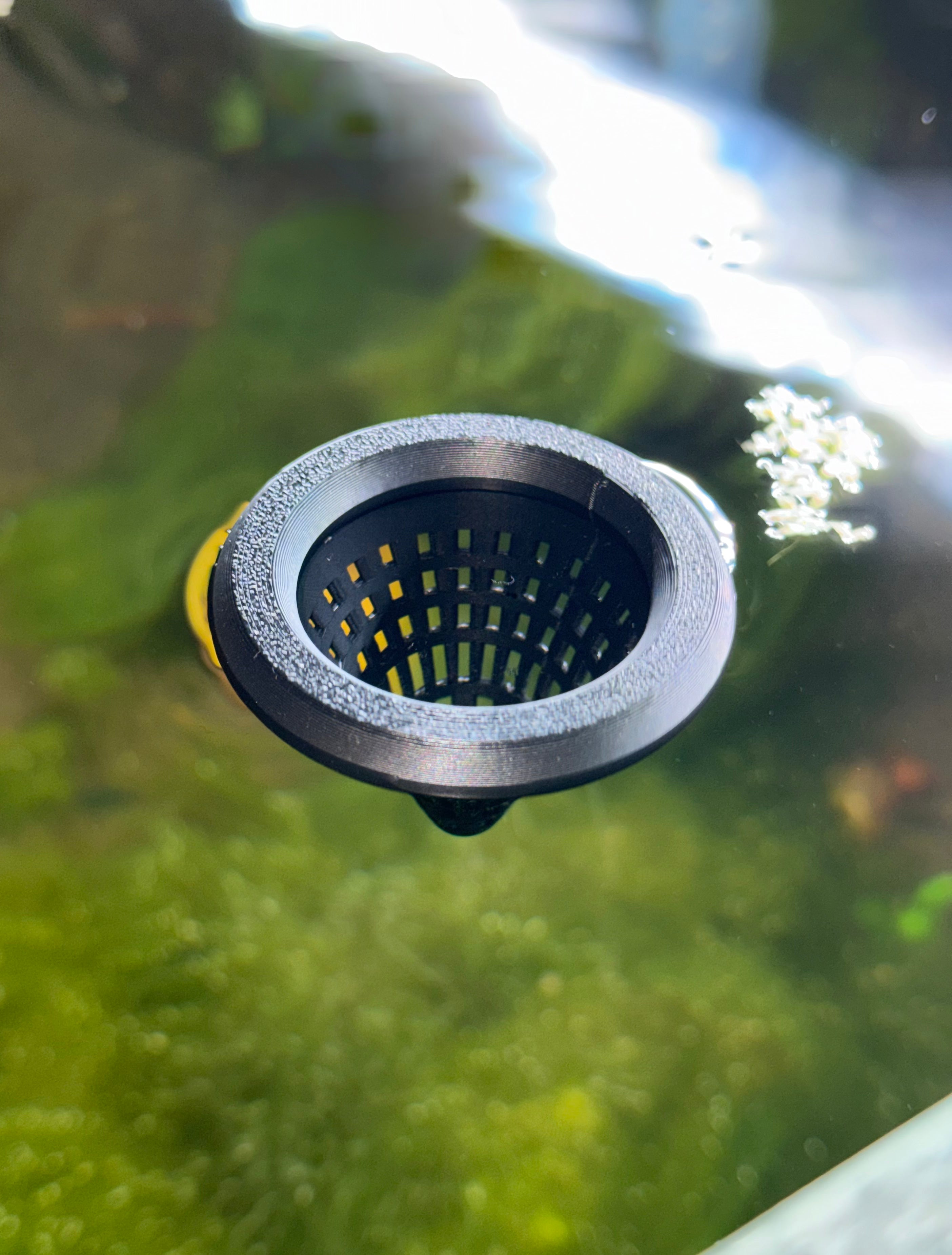 Tropic3D Floating Worm Feeder 50mm Diameter