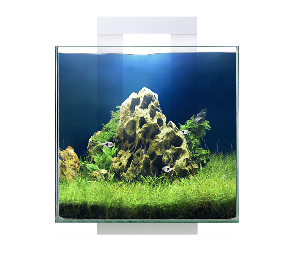 Ciano Nexus 15 - Tropical Supplies North East